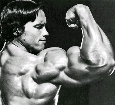 Arnold Schwarzenegger arnold-schwarzenegger