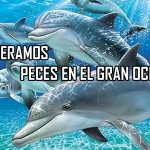 Top 10 partidos políticos más raros de la historia 2