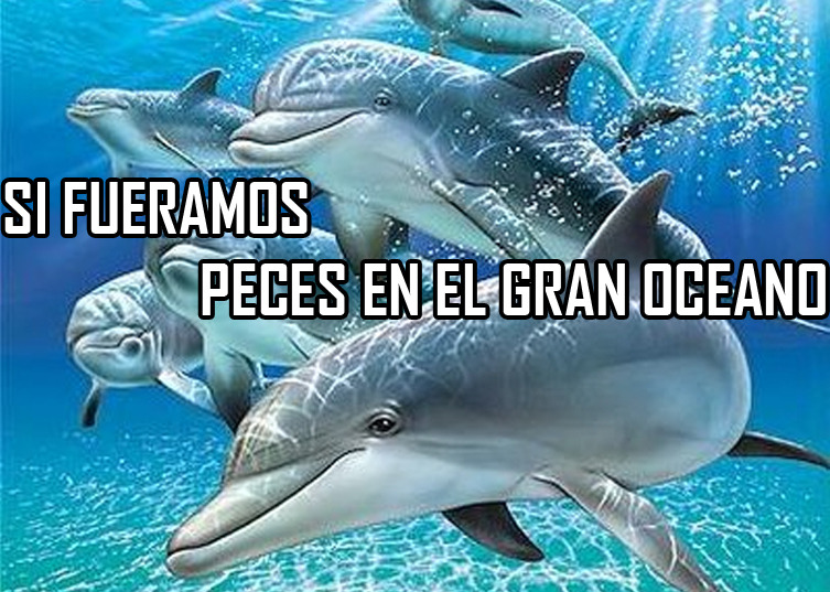 Top 10 partidos políticos más raros de la historia 1 Top 10 partidos políticos más raros de la historia 1