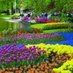 Top 10 jardines más bellos del mundo 6