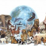 Top 10 especies más raras del 2012 7
