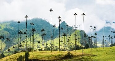 Top 5 Paraisos Naturales en Colombia 4