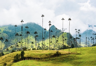 Top 5 Paraisos Naturales en Colombia