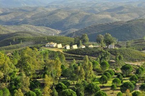 huelva-landscape-in-rural-andalucia-spain-andalusia-shutterstock_100551100
